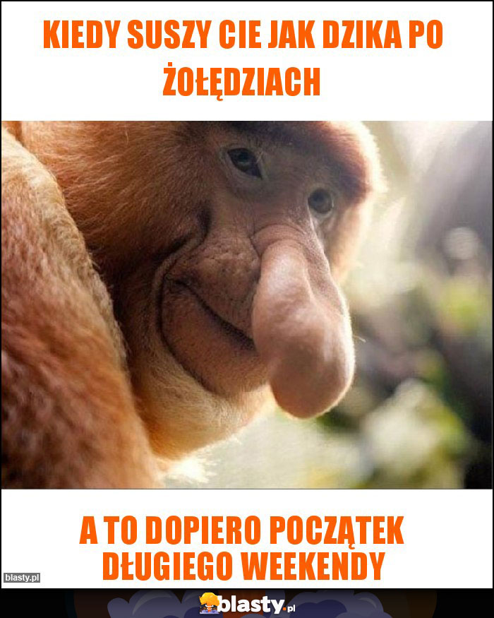 Kiedy suszy cie jak dzika po żołędziach Kiedy suszy cie jak dzika po żołędziach
