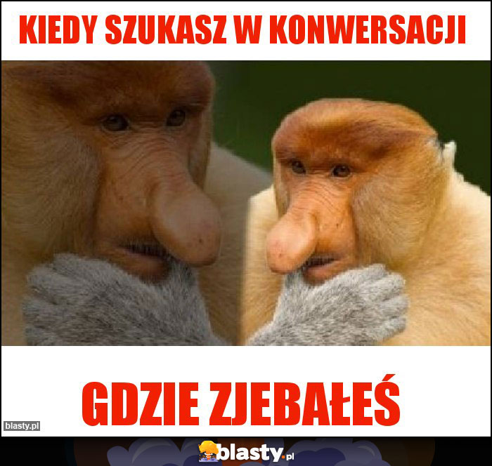 Kiedy szukasz w konwersacji Kiedy szukasz w konwersacji
