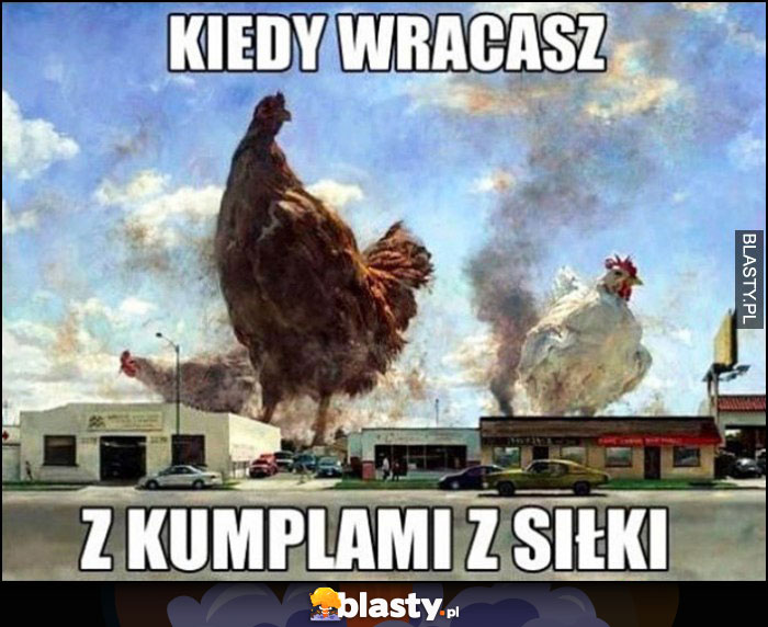 Kiedy wracasz z kumplami z siłki wielkie koguty na mieście