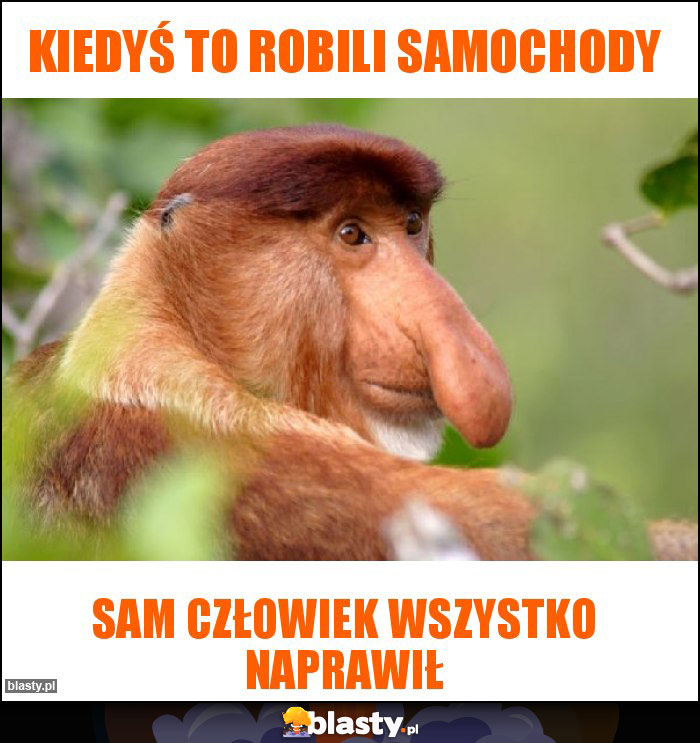 Kiedyś to robili samochody Kiedyś to robili samochody