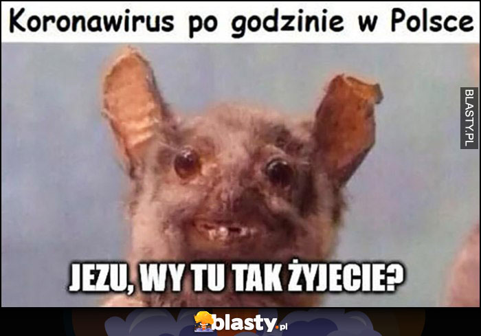 Koronawirus Polska Smieszne - koronawirus