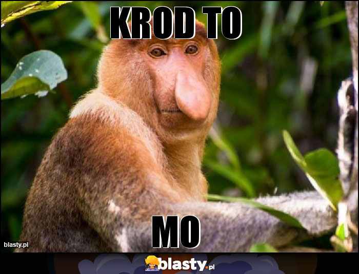 Krod to