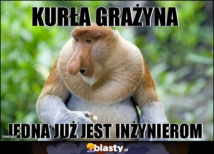 KURŁA GRAŻYNA KURŁA GRAŻYNA