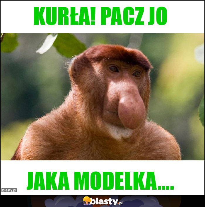 Kurła! pacz jo Kurła! pacz jo