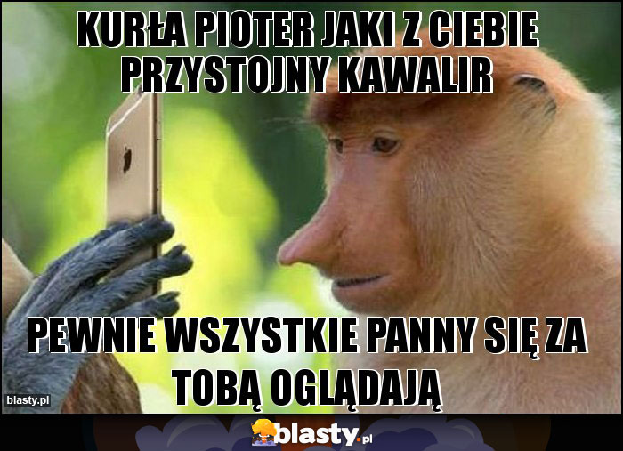 KURŁA PIOTER JAKI Z CIEBIE PRZYSTOJNY KAWALIR KURŁA PIOTER JAKI Z CIEBIE PRZYSTOJNY KAWALIR