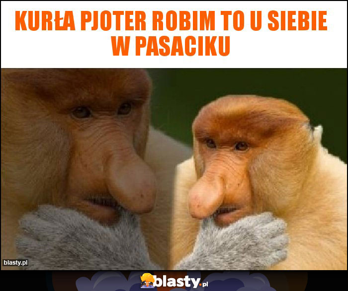 Kurła Pjoter robim to u siebie w pasaciku