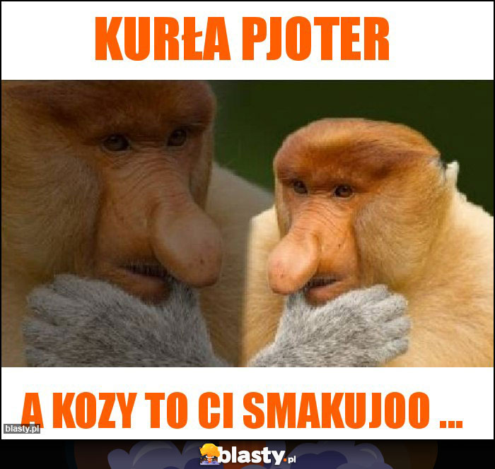 Kurła pjoter Kurła pjoter