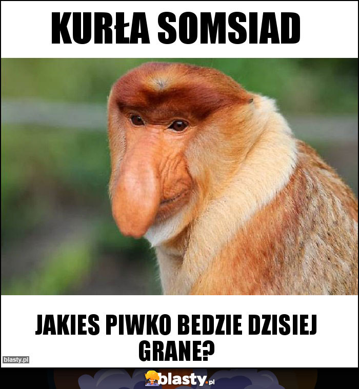 Kurła somsiad Kurła somsiad