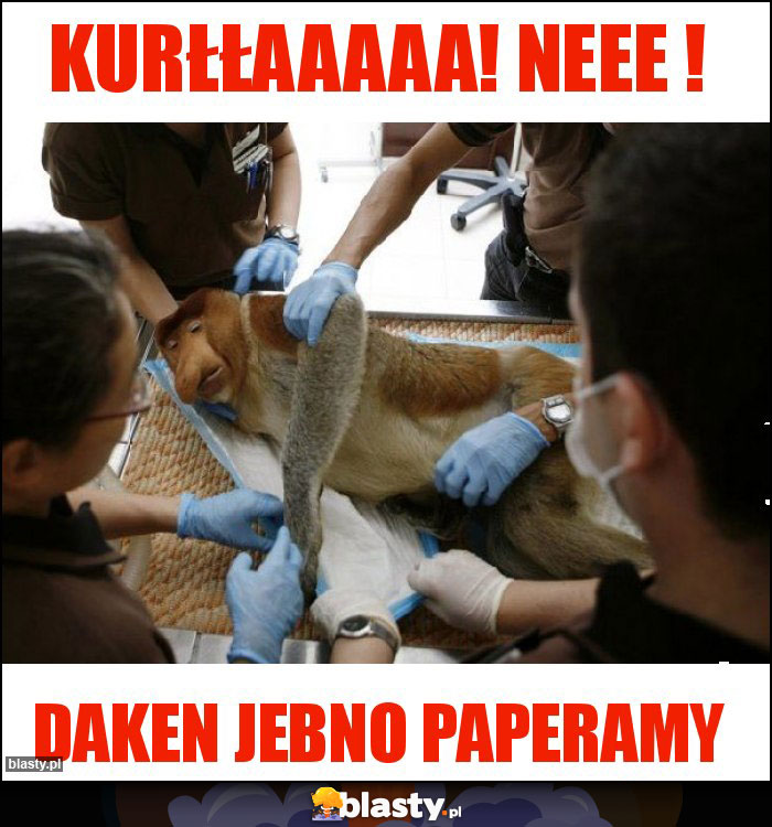 Kurłłaaaaa! Neee ! Kurłłaaaaa! Neee !
