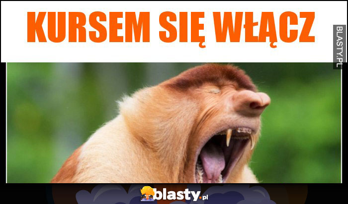 Kursem się włącz Kursem się włącz