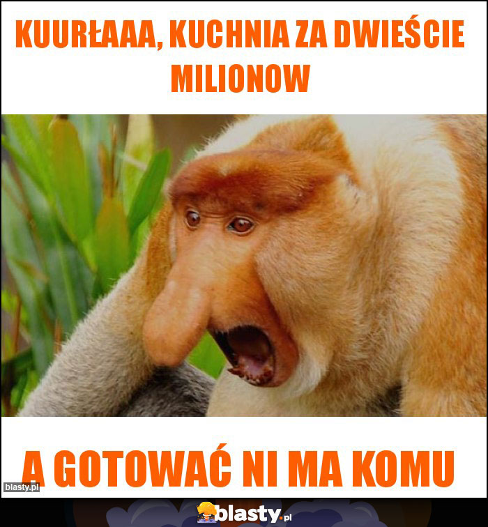 Kuurłaaa, kuchnia za dwieście milionow