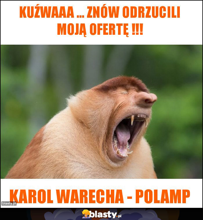 KUŹWAAA ... ZNÓW ODRZUCILI MOJĄ OFERTĘ !!! KUŹWAAA ... ZNÓW ODRZUCILI MOJĄ OFERTĘ !!!