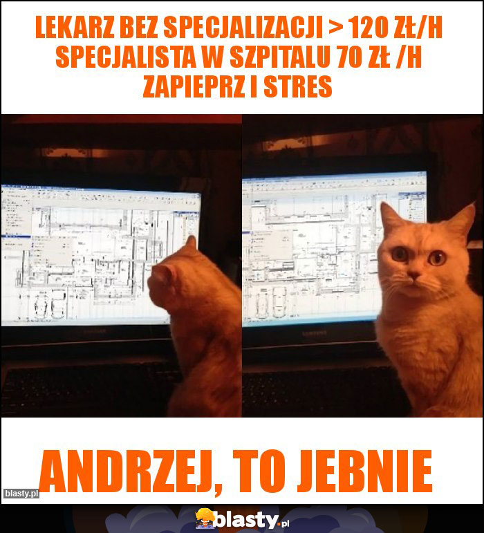 Lekarz bez specjalizacji > 120 zł/h Specjalista w szpitalu 70 zł /h zapieprz i stres Lekarz bez specjalizacji > 120 zł/h Specjalista w szpitalu 70 zł /h zapieprz i stres
