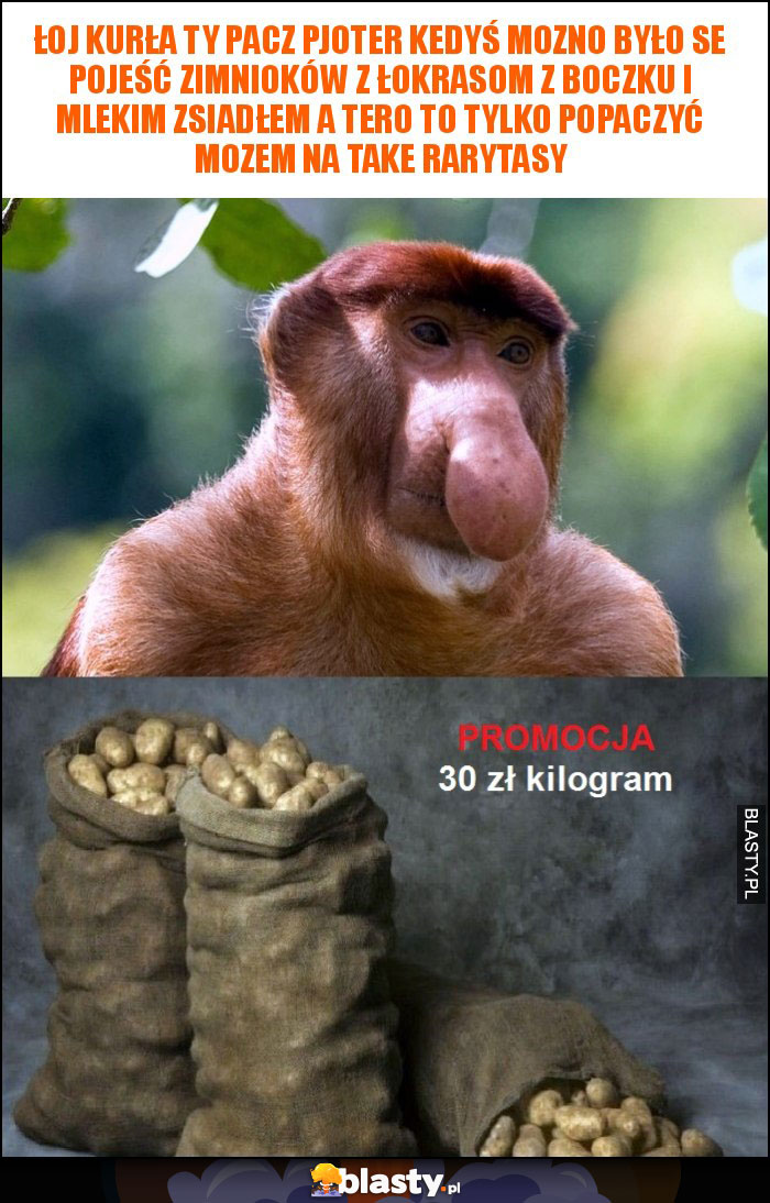 Łoj kurła ty pacz pjoter kedyś mozno było se pojeść zimnioków z łokrasom z boczku i mlekim zsiadłem a tero to tylko popaczyć mozem na take rarytasy Łoj kurła ty pacz pjoter kedyś mozno było se pojeść zimnioków z łokrasom z boczku i mlekim zsiadłem a tero to tylko popaczyć mozem na take rarytasy