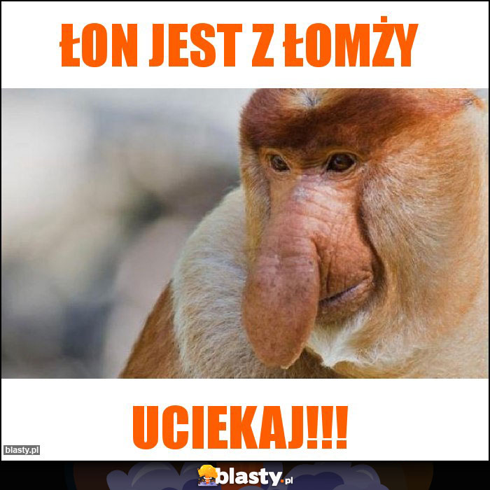 Łon jest z łomży Łon jest z łomży