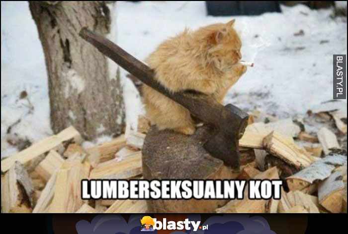 Lumberseksualny kot pali papierosa z siekierą