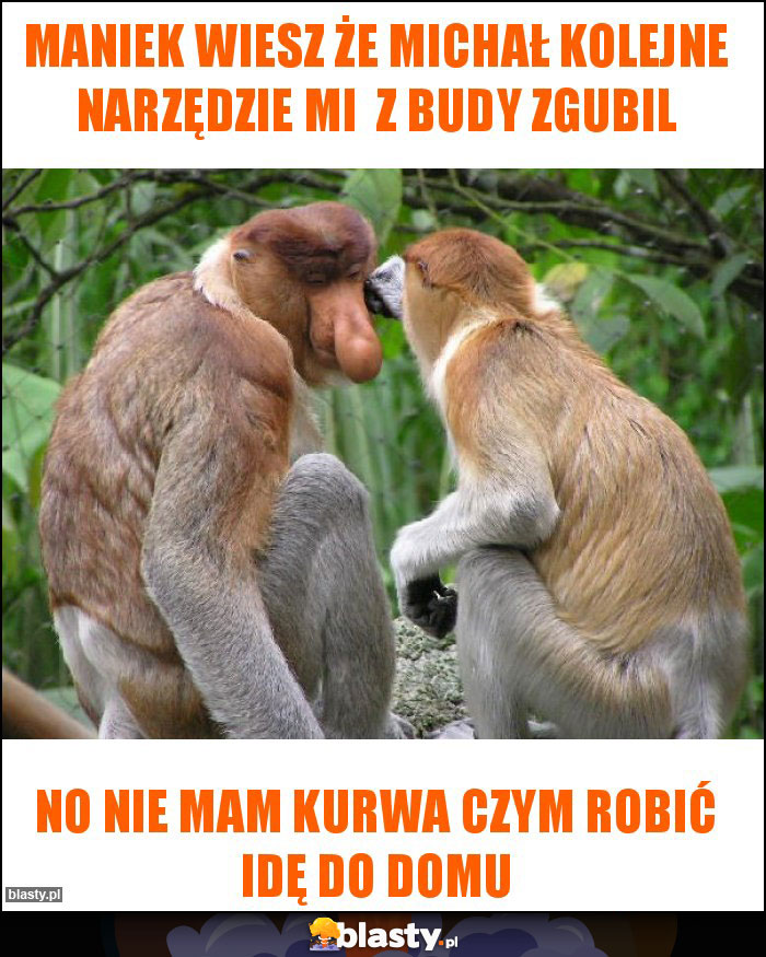 Maniek Wiesz że Michał kolejne narzędzie mi z budy zgubil Maniek Wiesz że Michał kolejne narzędzie mi z budy zgubil