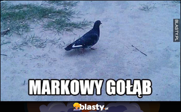 Markowy gołąb ze znaczkiem logo Nike