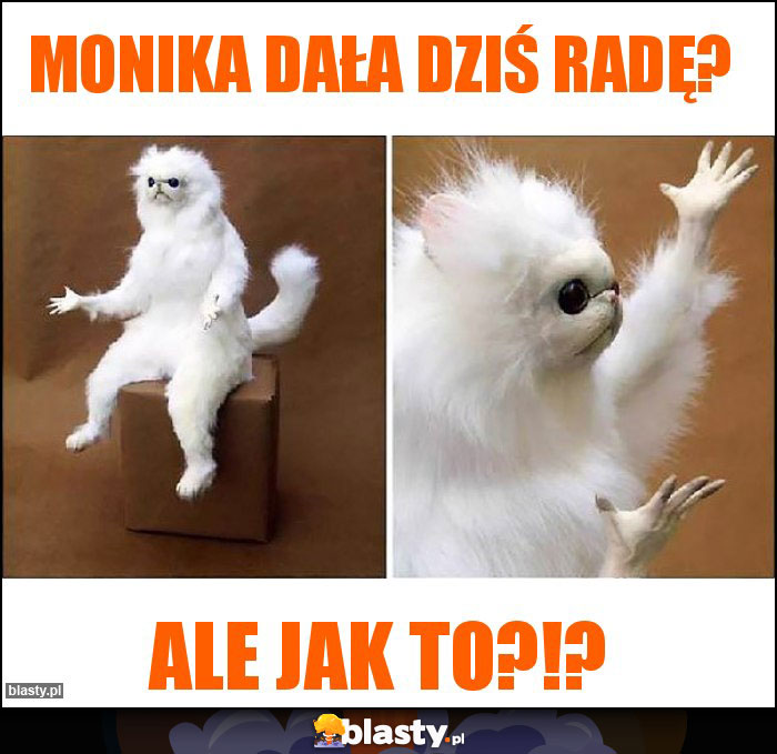 Monika dała dziś radę? Monika dała dziś radę?