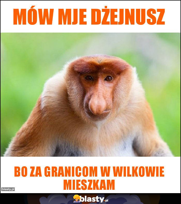 Mów mje DŻEJNUSZ Mów mje DŻEJNUSZ