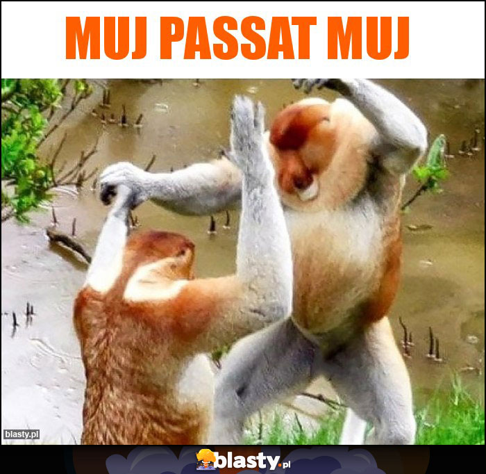 Muj passat Muj Muj passat Muj