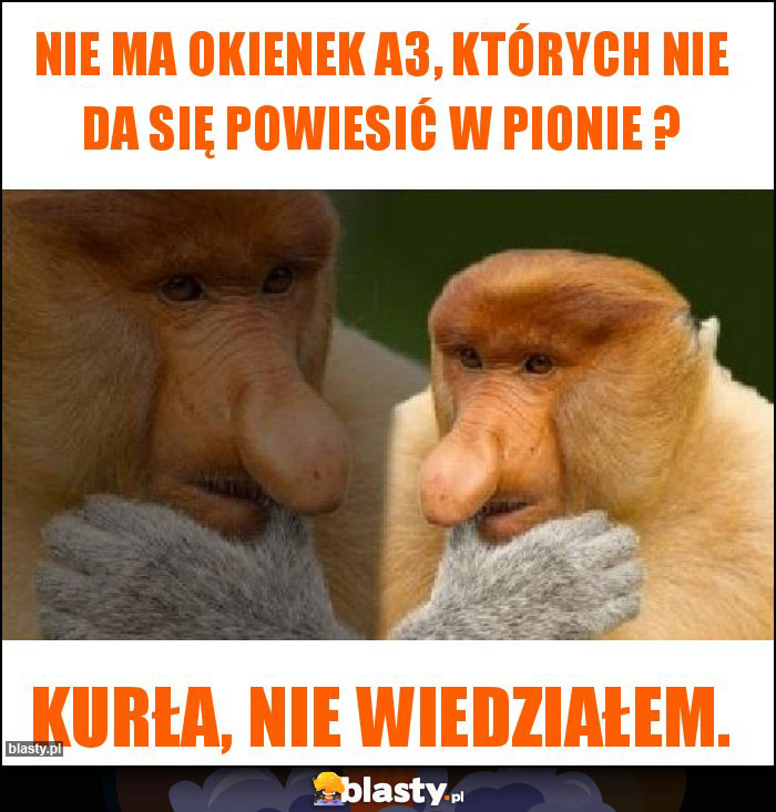Nie ma okienek A3, których nie da się powiesić w pionie ? Nie ma okienek A3, których nie da się powiesić w pionie ?