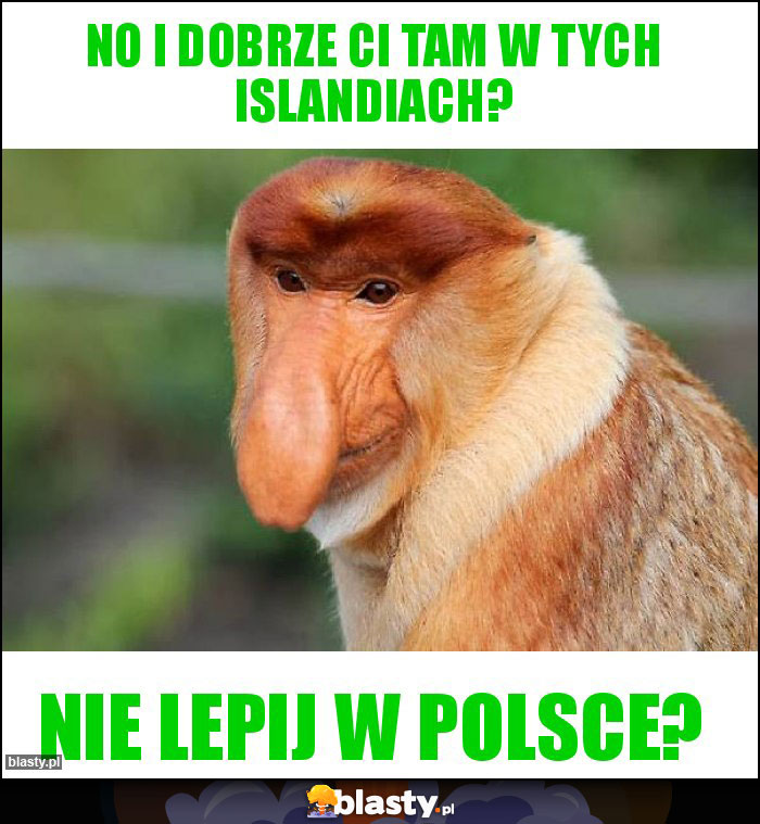 No i dobrze Ci tam w tych islandiach? No i dobrze Ci tam w tych islandiach?