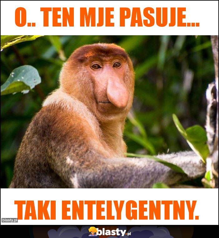O.. ten mje pasuje... O.. ten mje pasuje...