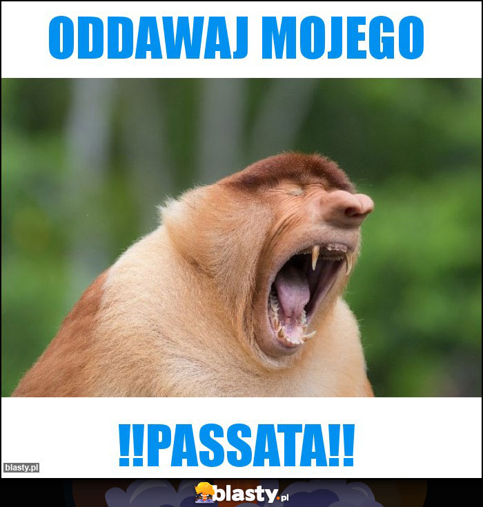 ODDAWAJ MOJEGO ODDAWAJ MOJEGO