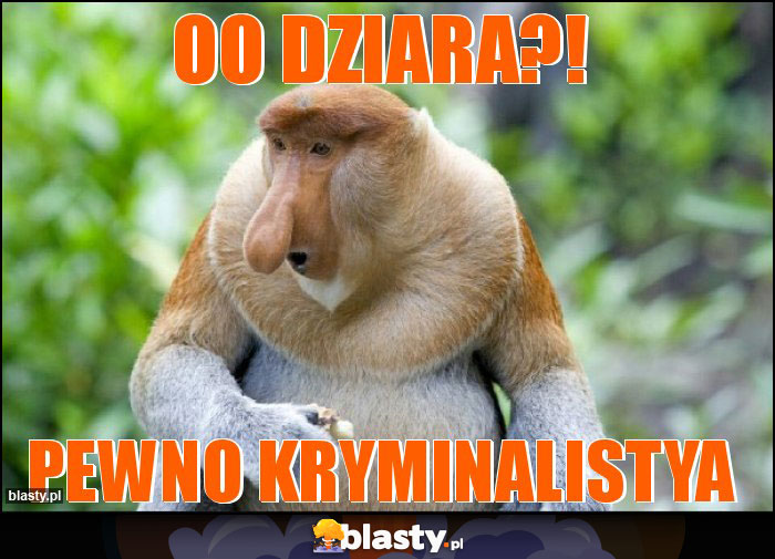 Oo dziara?! Oo dziara?!