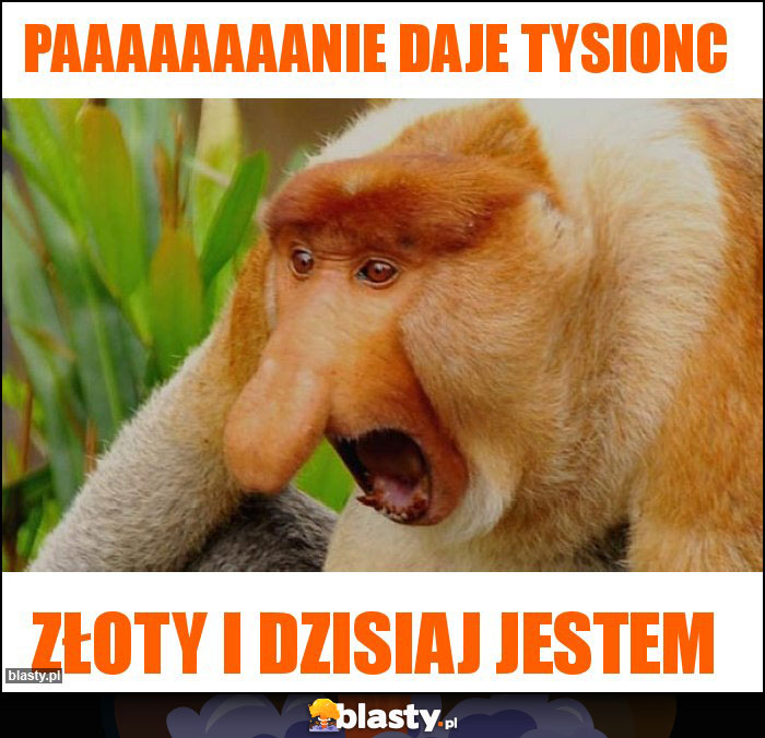 PAAAAAAAANIE DAJE TYSIONC PAAAAAAAANIE DAJE TYSIONC