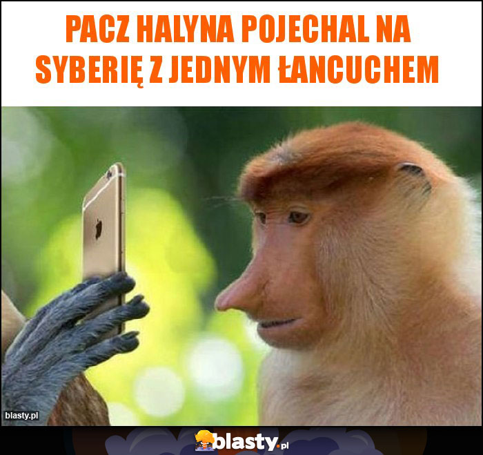Pacz Halyna pojechal na Syberię z jednym łancuchem Pacz Halyna pojechal na Syberię z jednym łancuchem