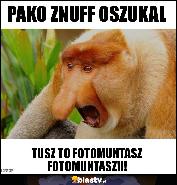 Pako znuff oszukal Pako znuff oszukal