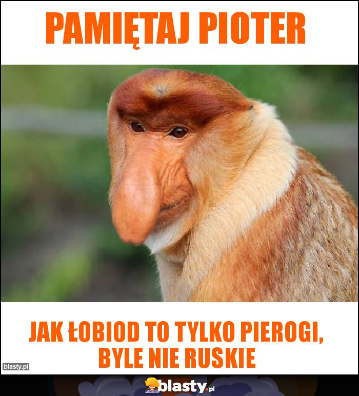 PAMIĘTAJ PIOTER PAMIĘTAJ PIOTER
