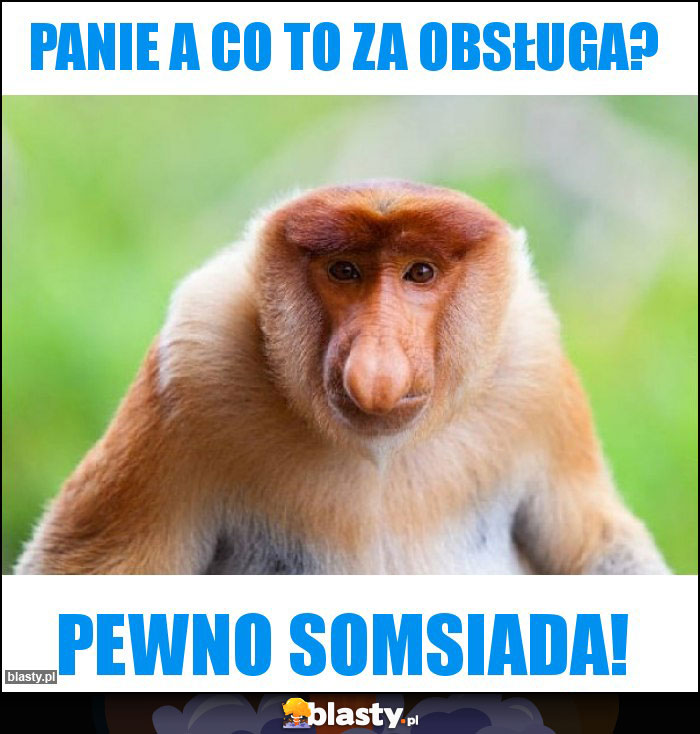 Panie a co to za obsługa? Panie a co to za obsługa?