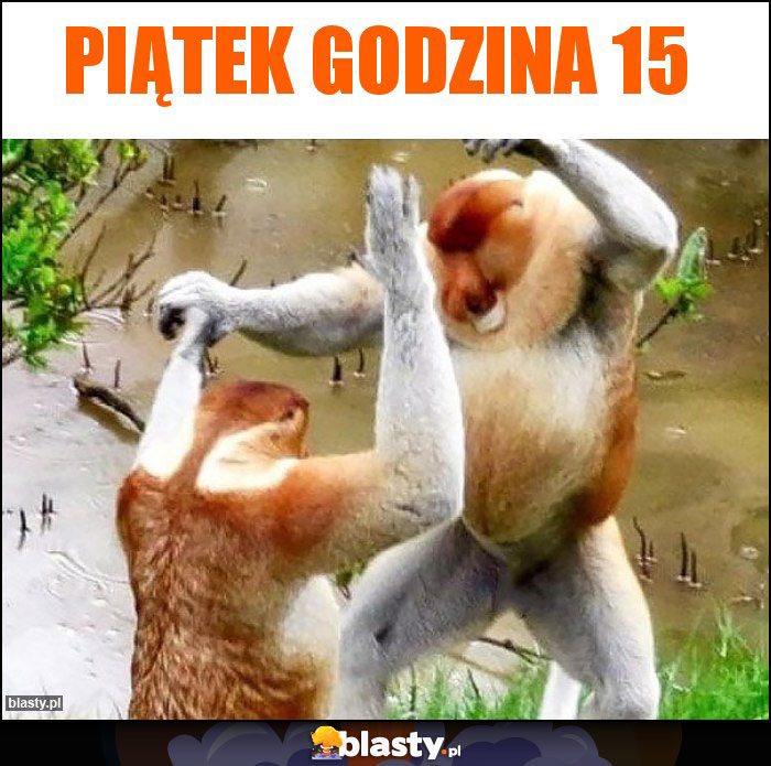 Piątek godzina 15 Piątek godzina 15