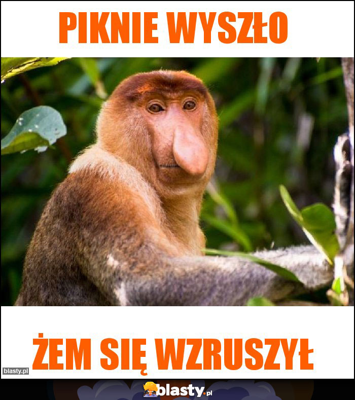 Piknie wyszło Piknie wyszło