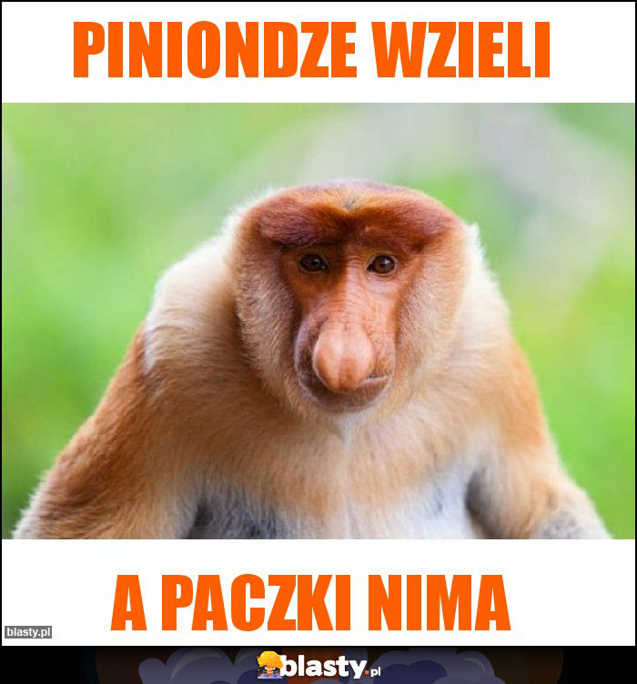 Piniondze wzieli Piniondze wzieli