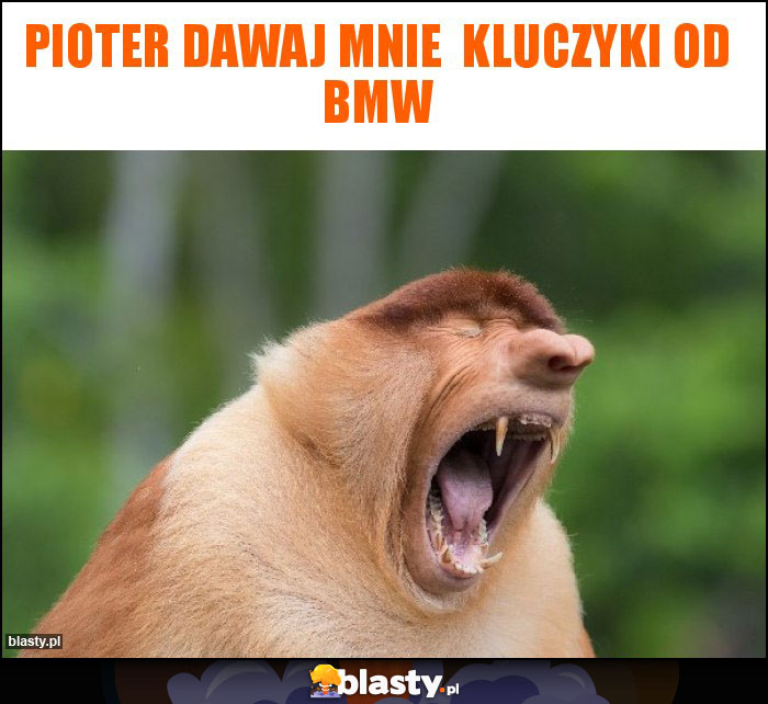 Pioter dawaj mnie kluczyki od bmw Pioter dawaj mnie kluczyki od bmw