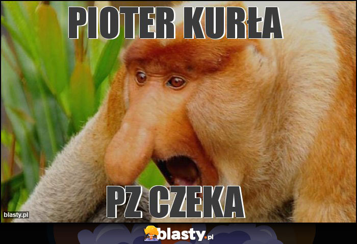 Pioter kurła