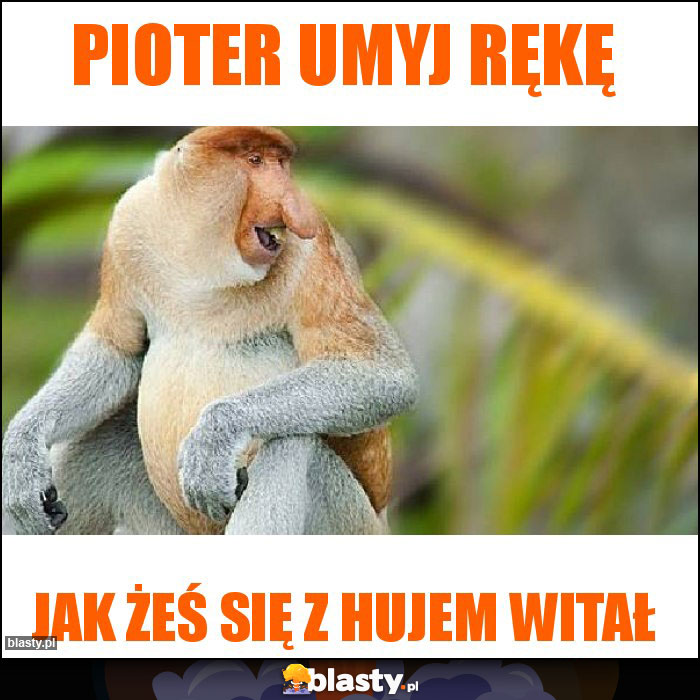 Pioter umyj rękę Pioter umyj rękę