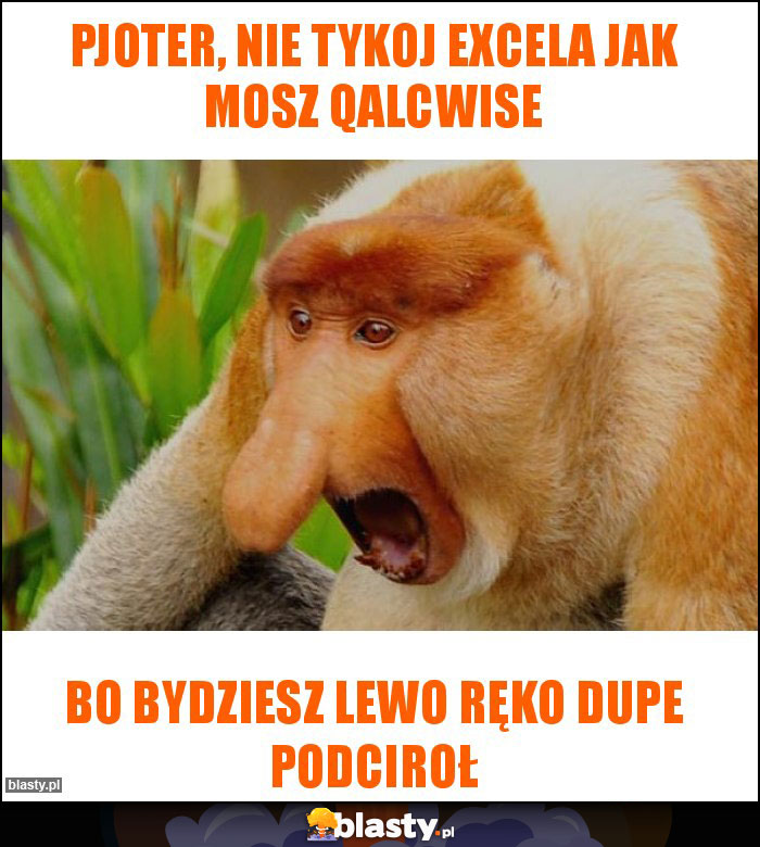 Pjoter, nie tykoj excela jak mosz qalcwise Pjoter, nie tykoj excela jak mosz qalcwise