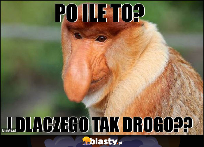 Po ile to? Po ile to?