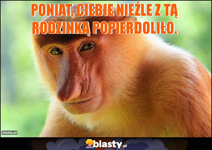 Poniat, Ciebie nieźle z tą rodzinką popierdoliło. Poniat, Ciebie nieźle z tą rodzinką popierdoliło.