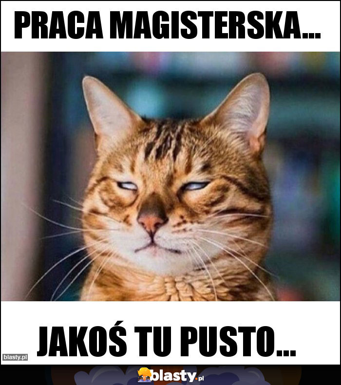 Praca magisterska... Praca magisterska...