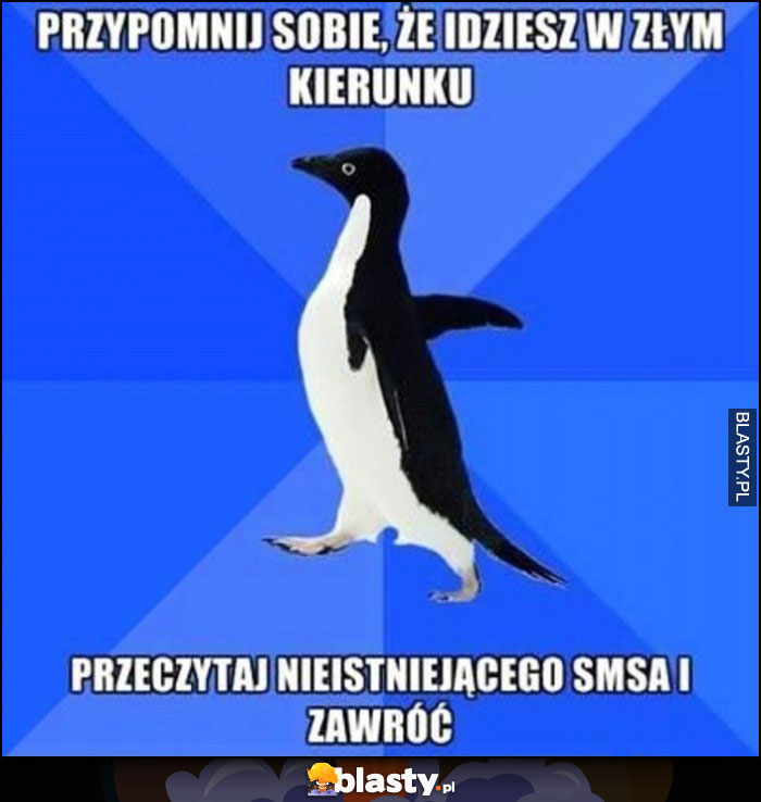 Przypomnij sobie, że idziesz w złym kierunku, przeczytaj nieistniejącego SMSa i zawróć pingwin