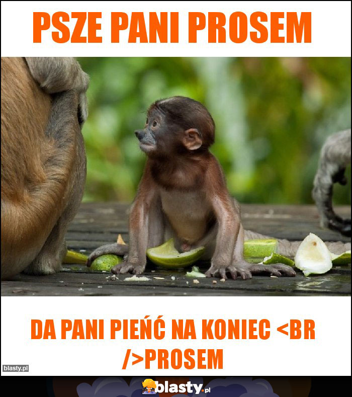 Psze pani prosem Psze pani prosem
