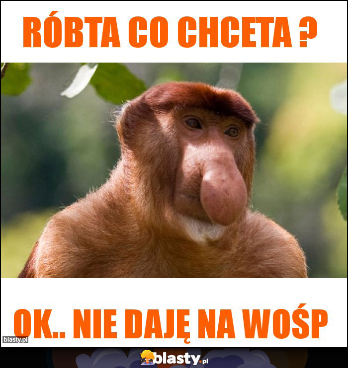 RÓBTA CO CHCETA ? RÓBTA CO CHCETA ?