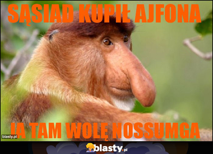SĄSIAD KUPIŁ AJFONA SĄSIAD KUPIŁ AJFONA