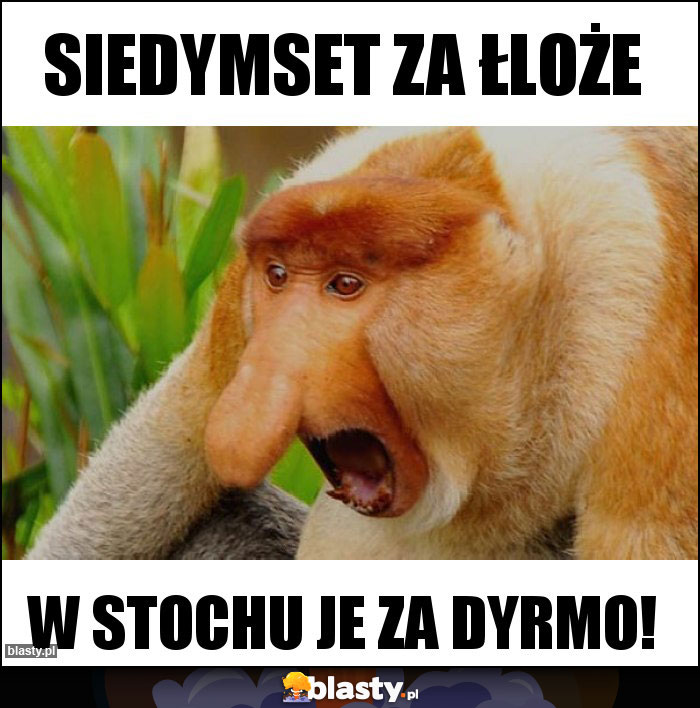 Siedymset za łloże Siedymset za łloże